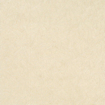 56812