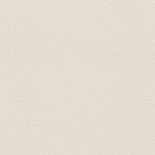 Rasch Prego 2 2019 469127