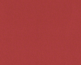 293053