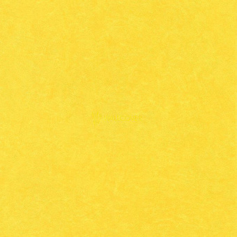 860177