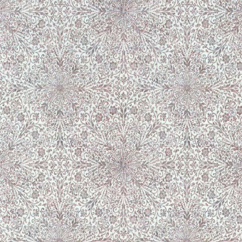 02481-42