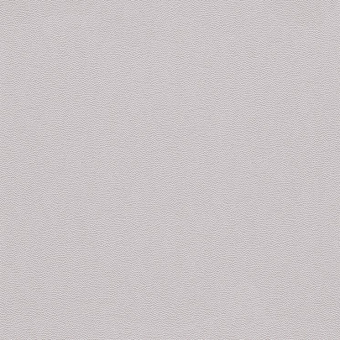 576023