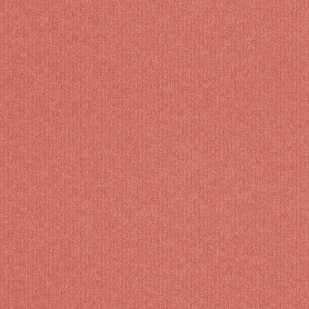 436204