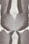 423006