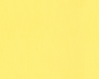 883827