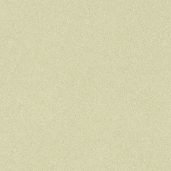 424256