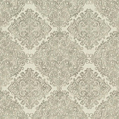 Rasch Maximum XV 959437