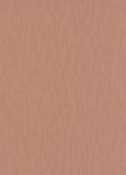 5217-13