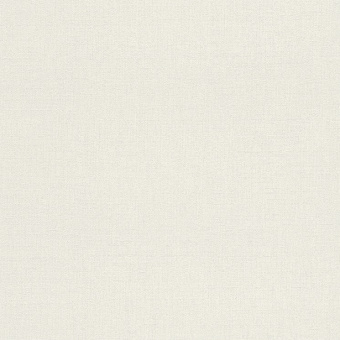 545876