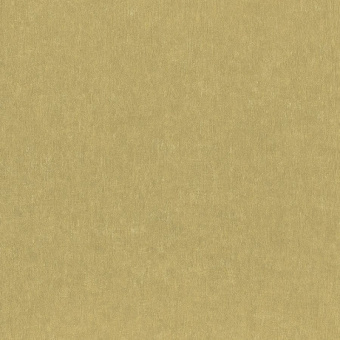 77853