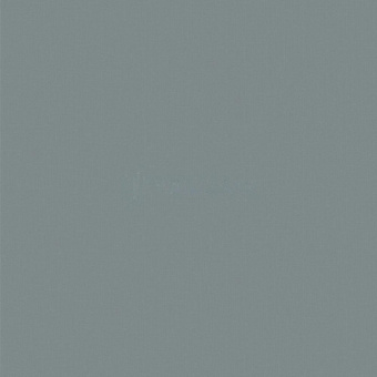 55209