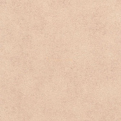 Rasch Vincenza 467178