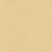 A.S.Creation Palladium 6853-39