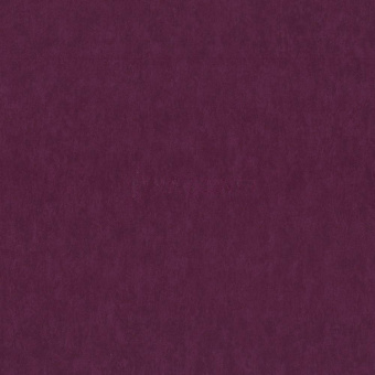 02422-50