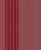 Rasch Modern Update 771541