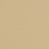 Erismann Eterna 2016 5797-32