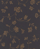 Rasch Modern Update 771077