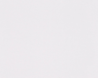 303341