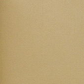 Marburg Astor 50929