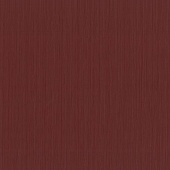 P+S International Ouverture 2014 42073-50