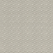 Rasch Gypso 700626