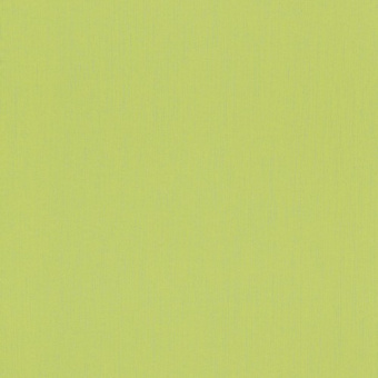 232776