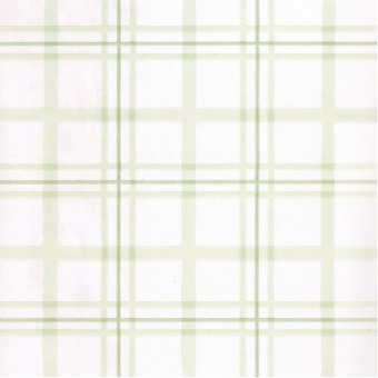 1738