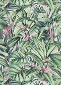 Erismann Paradisio 2 10122-07