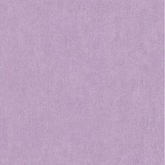 02535-20