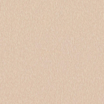 02539-20