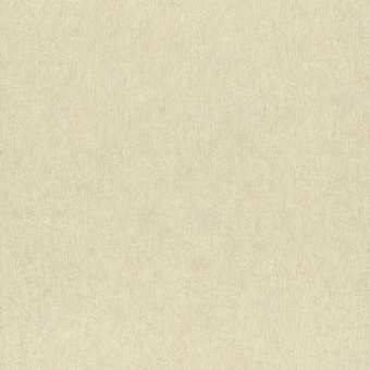 77881