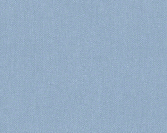 293039