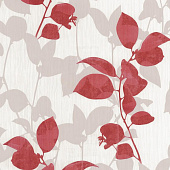 Erismann Ambience 5906-06