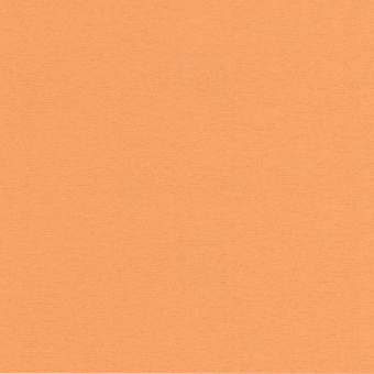 6818-04