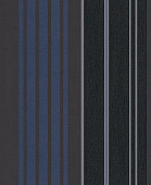 Rasch Modern Update 771589