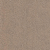 P+S International Brilliance 02555-42