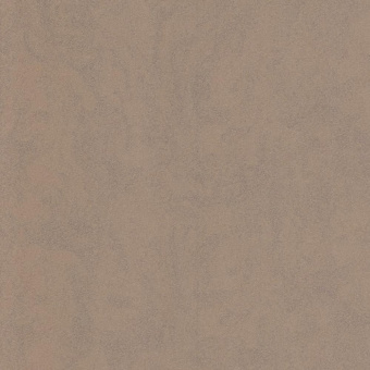 02555-42