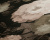 37650-4