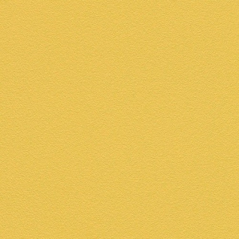 469028