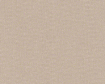 293077