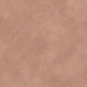 Rasch Finca 417043