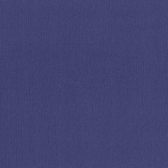 02428-50
