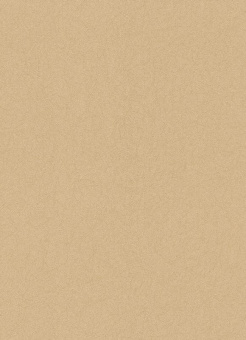 5287-20