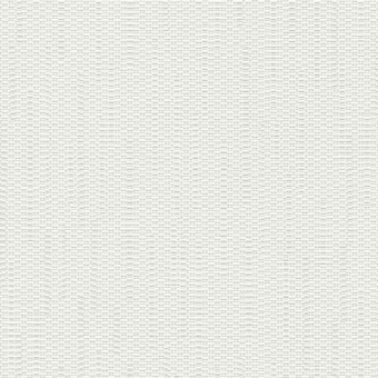 795905