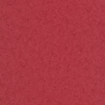 816211