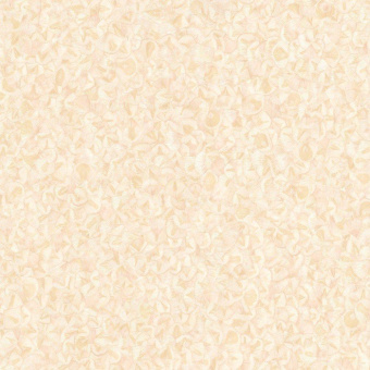 52558