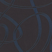 Rasch Modern Update 771381