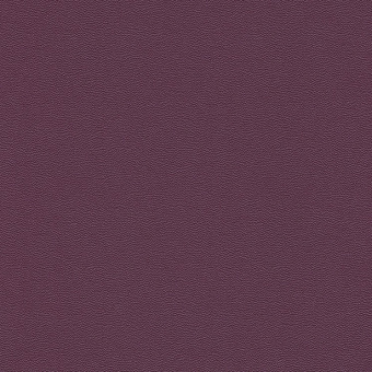 576085