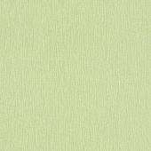 Rasch Freundin 436358