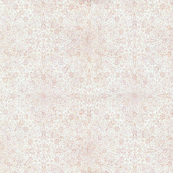 02481-20